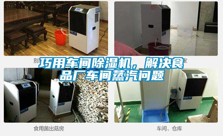 巧用車間除濕機，解決食品廠車間蒸汽問題