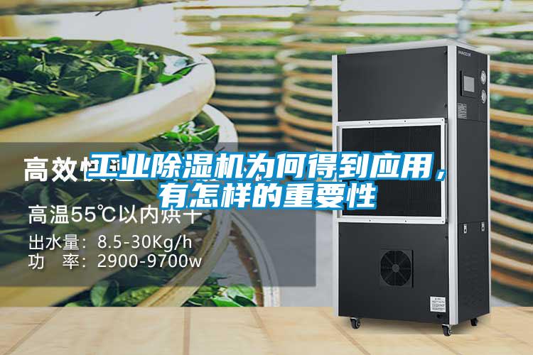 工業(yè)除濕機為何得到應用，有怎樣的重要性