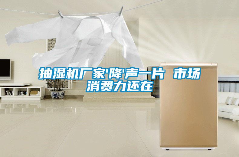 抽濕機(jī)廠(chǎng)家'降'聲一片 市場(chǎng)消費(fèi)力還在