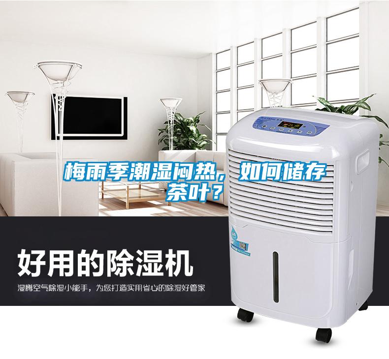 梅雨季潮濕悶熱，如何儲(chǔ)存茶葉？