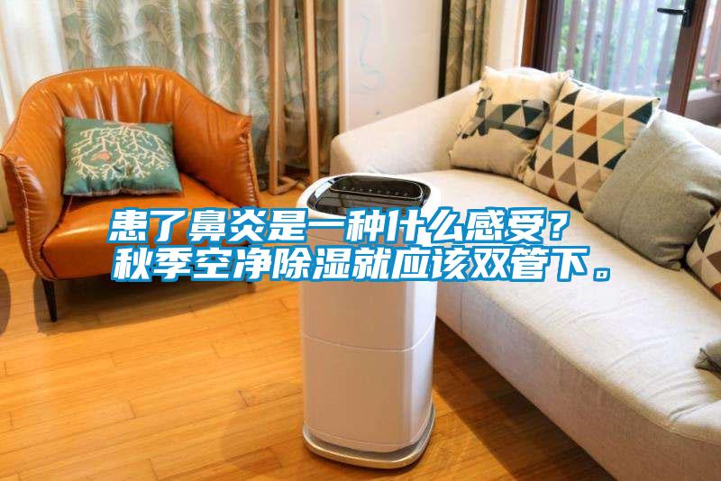患了鼻炎是一種什么感受？ 秋季空凈除濕就應該雙管下。
