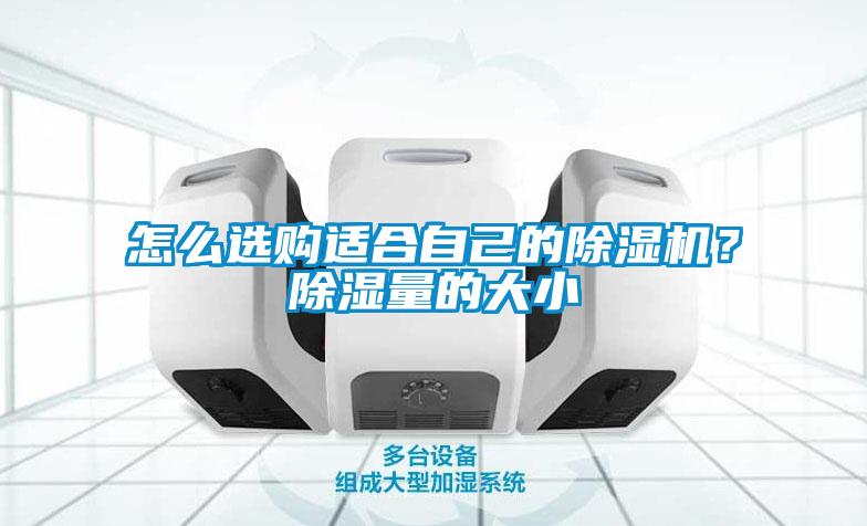 怎么選購適合自己的除濕機？除濕量的大小