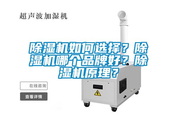 除濕機(jī)如何選擇?除濕機(jī)哪個品牌好?除濕機(jī)原理?