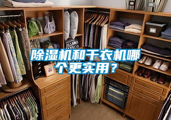 除濕機和干衣機哪個更實用？