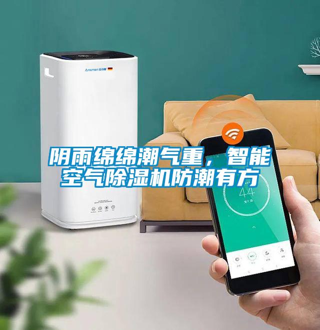 陰雨綿綿潮氣重，智能空氣除濕機防潮有方