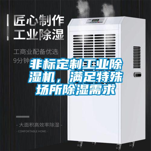 非標(biāo)定制工業(yè)除濕機(jī)，滿足特殊場所除濕需求