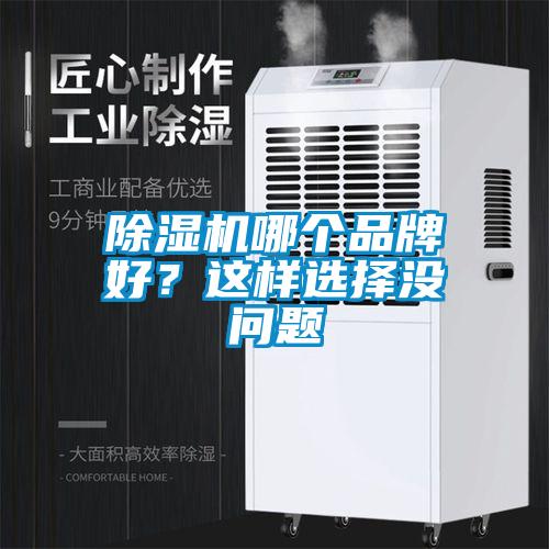 除濕機(jī)哪個(gè)品牌好？這樣選擇沒問(wèn)題
