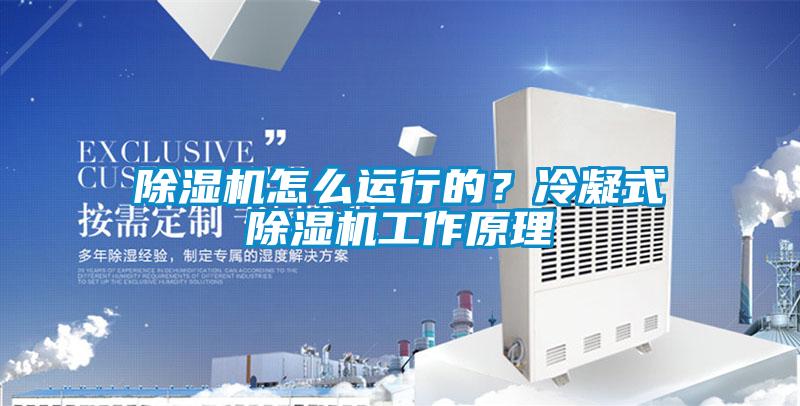 除濕機怎么運行的？冷凝式除濕機工作原理