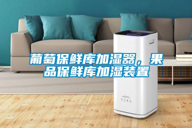 葡萄保鮮庫(kù)加濕器，果品保鮮庫(kù)加濕裝置