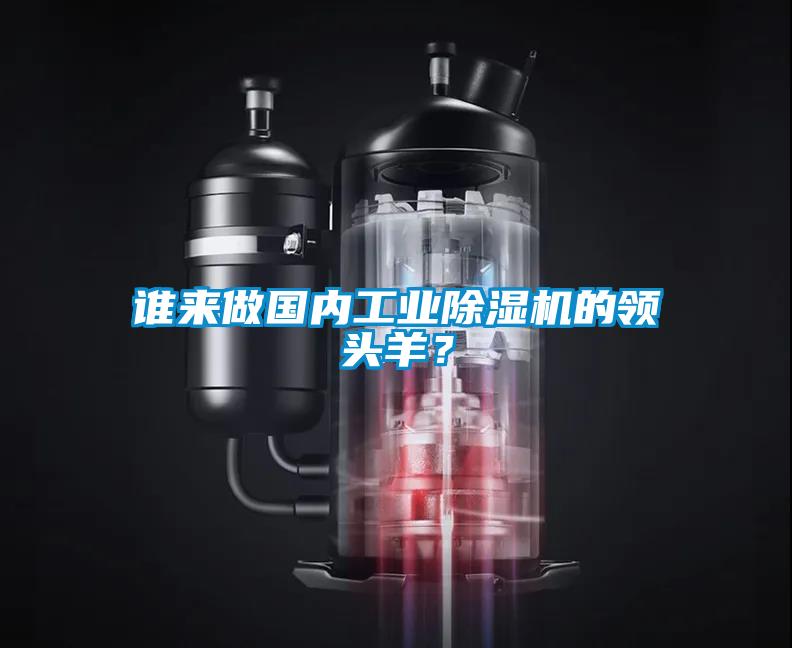誰來做國內工業除濕機的領頭羊？