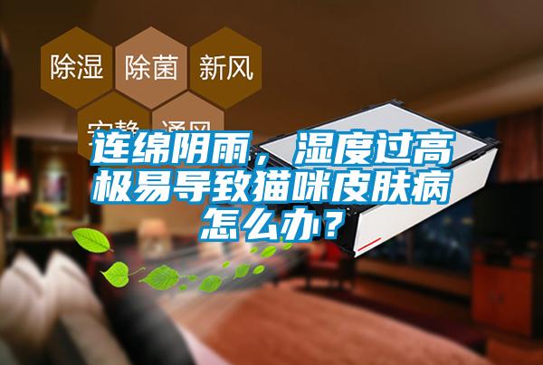 連綿陰雨，濕度過高極易導(dǎo)致貓咪皮膚病怎么辦？