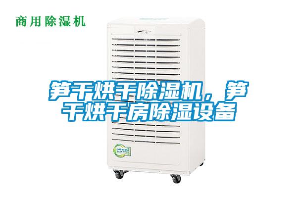 筍干烘干除濕機(jī)，筍干烘干房除濕設(shè)備