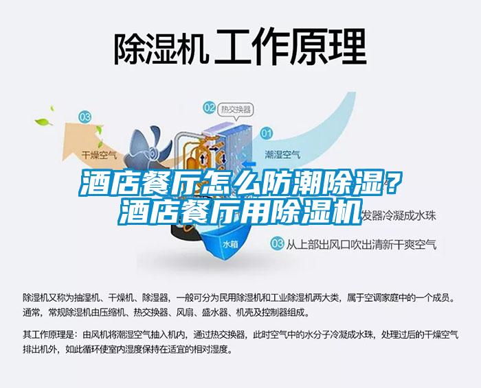 酒店餐廳怎么防潮除濕？酒店餐廳用除濕機