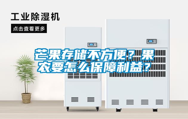 芒果存儲不方便？果農(nóng)要怎么保障利益？