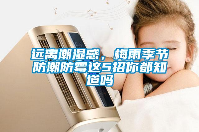 遠(yuǎn)離潮濕感，梅雨季節(jié)防潮防霉這5招你都知道嗎
