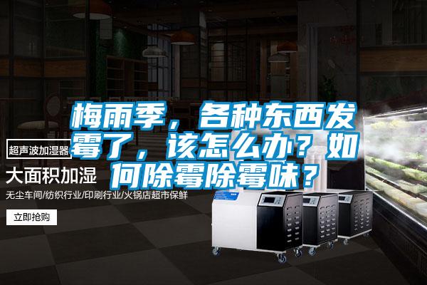 梅雨季，各種東西發霉了，該怎么辦？如何除霉除霉味？