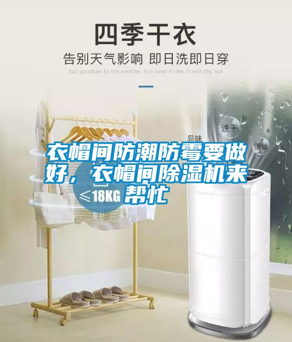 衣帽間防潮防霉要做好，衣帽間除濕機(jī)來幫忙
