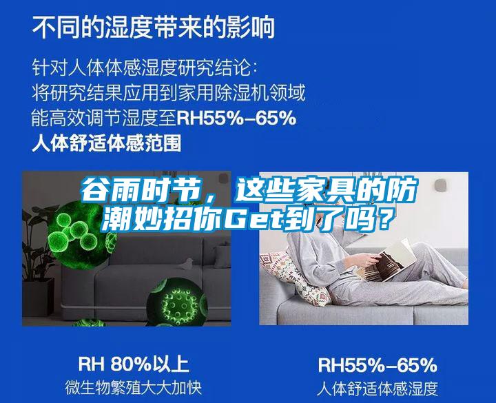 谷雨時(shí)節(jié)，這些家具的防潮妙招你Get到了嗎？