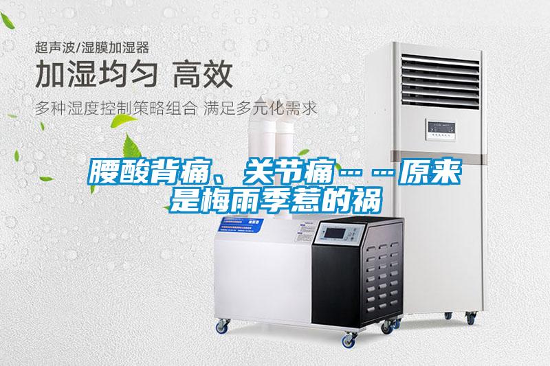 腰酸背痛、關(guān)節(jié)痛……原來(lái)是梅雨季惹的禍