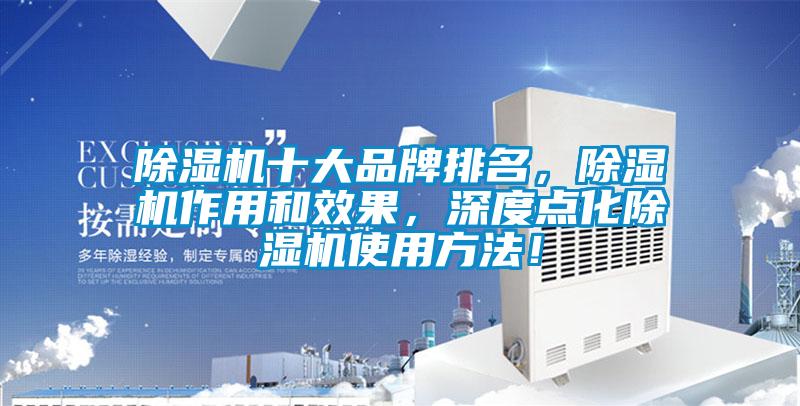 除濕機十大品牌排名，除濕機作用和效果，深度點化除濕機使用方法！