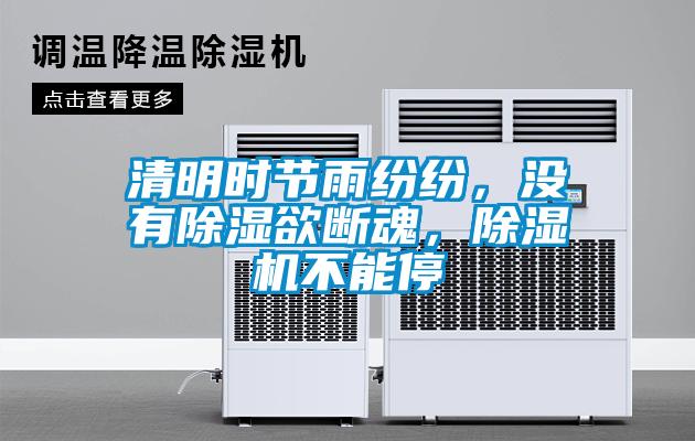 清明時節(jié)雨紛紛，沒有除濕欲斷魂，除濕機(jī)不能停