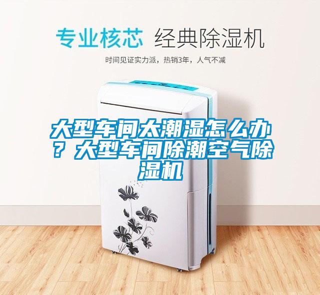大型車間太潮濕怎么辦？大型車間除潮空氣除濕機