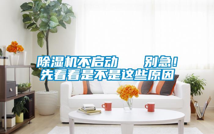 除濕機不啟動   別急！先看看是不是這些原因