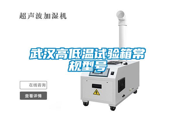 武漢高低溫試驗箱常規(guī)型號