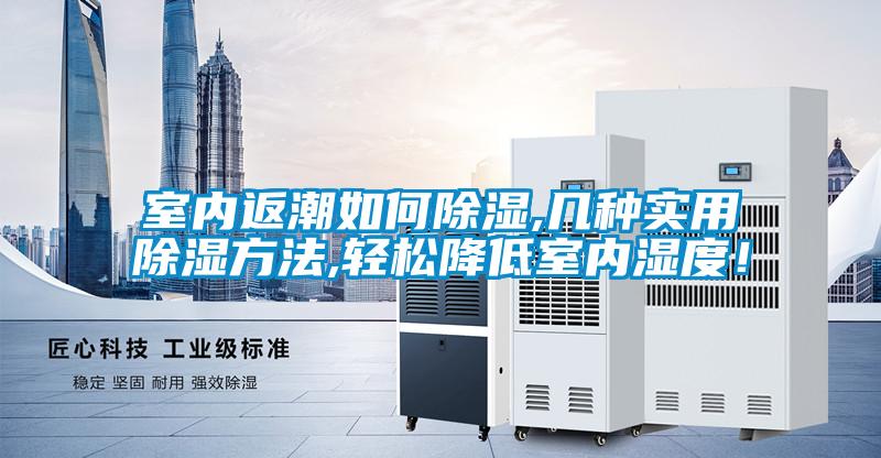 室內返潮如何除濕,幾種實用除濕方法,輕松降低室內濕度！