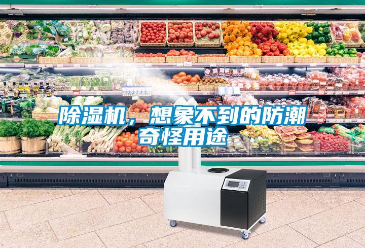 除濕機，想象不到的防潮奇怪用途