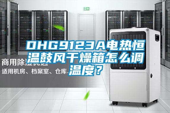 DHG9123A電熱恒溫鼓風干燥箱怎么調溫度？