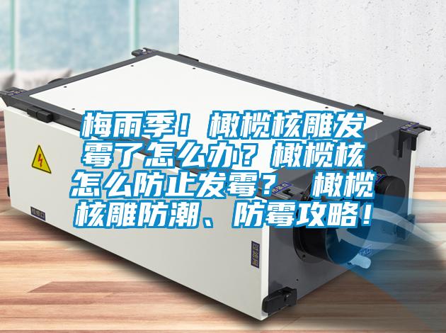 梅雨季！橄欖核雕發霉了怎么辦？橄欖核怎么防止發霉？ 橄欖核雕防潮、防霉攻略！