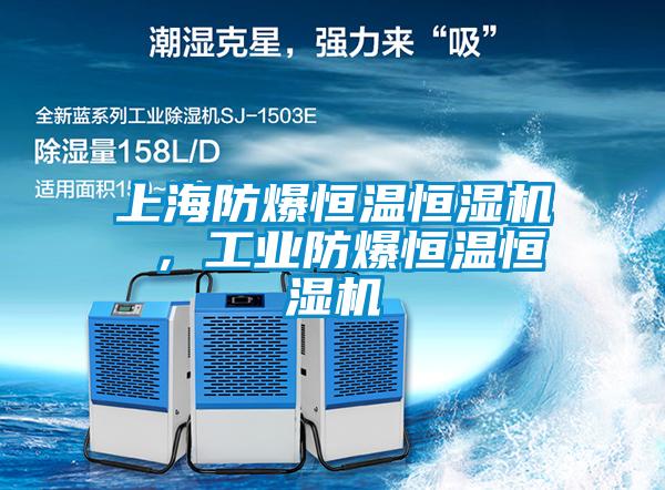 上海防爆恒溫恒濕機(jī) ，工業(yè)防爆恒溫恒濕機(jī)