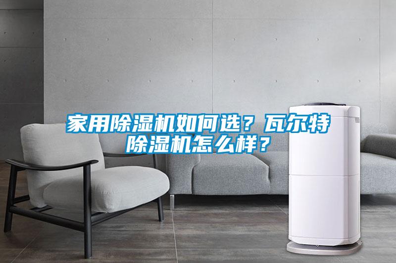 家用除濕機如何選？瓦爾特除濕機怎么樣？