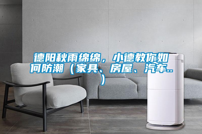 德陽秋雨綿綿，小德教你如何防潮（家具、房屋、汽車..）