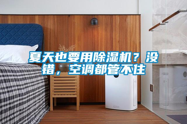 夏天也要用除濕機？沒錯，空調都管不住