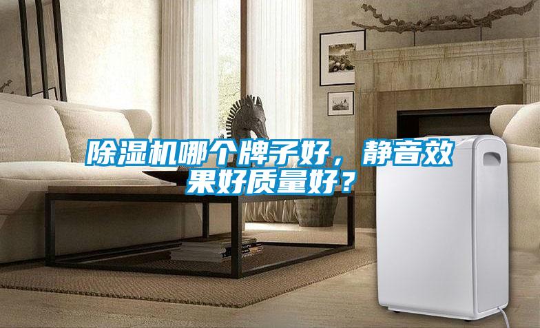 除濕機(jī)哪個(gè)牌子好，靜音效果好質(zhì)量好？