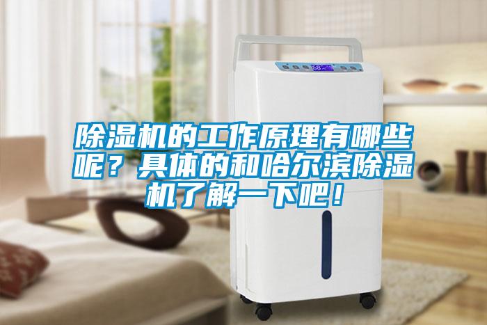 除濕機的工作原理有哪些呢？具體的和哈爾濱除濕機了解一下吧！