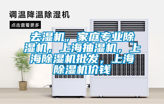 去濕機(jī)，家庭專業(yè)除濕機(jī)，上海抽濕機(jī)，上海除濕機(jī)批發(fā)，上海除濕機(jī)價(jià)錢