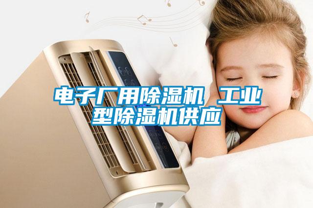 電子廠用除濕機 工業(yè)型除濕機供應