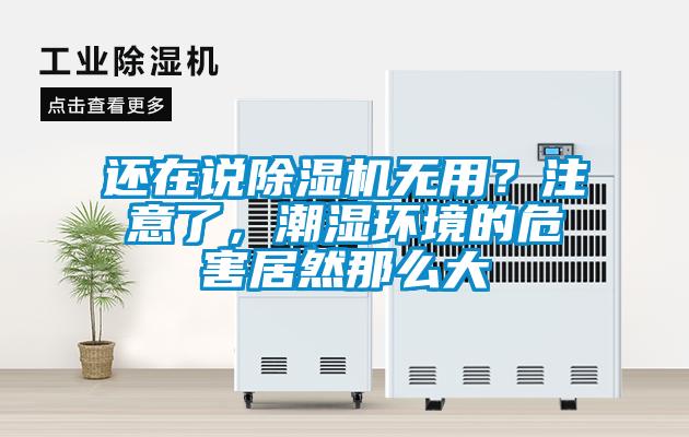還在說除濕機無用？注意了，潮濕環境的危害居然那么大