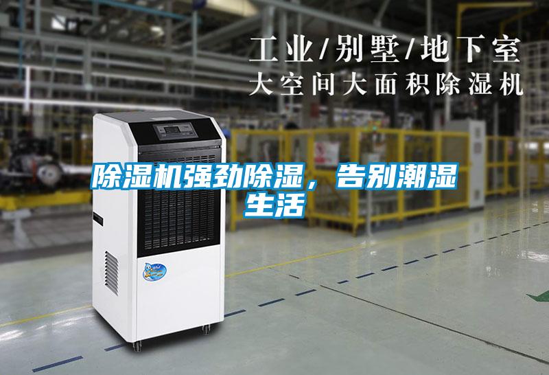 除濕機強勁除濕，告別潮濕生活