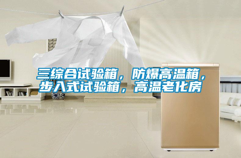 三綜合試驗(yàn)箱，防爆高溫箱，步入式試驗(yàn)箱，高溫老化房