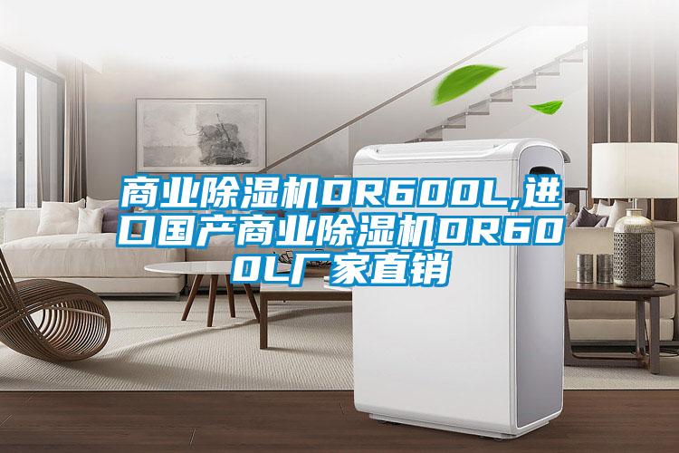 商業(yè)除濕機DR600L,進口國產(chǎn)商業(yè)除濕機DR600L廠家直銷