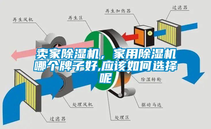 賣(mài)家除濕機(jī)，家用除濕機(jī)哪個(gè)牌子好,應(yīng)該如何選擇呢