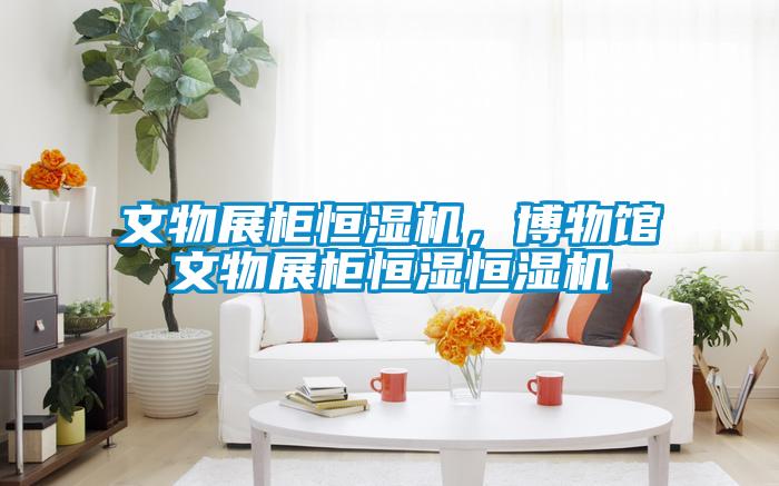 文物展柜恒濕機，博物館文物展柜恒濕恒濕機