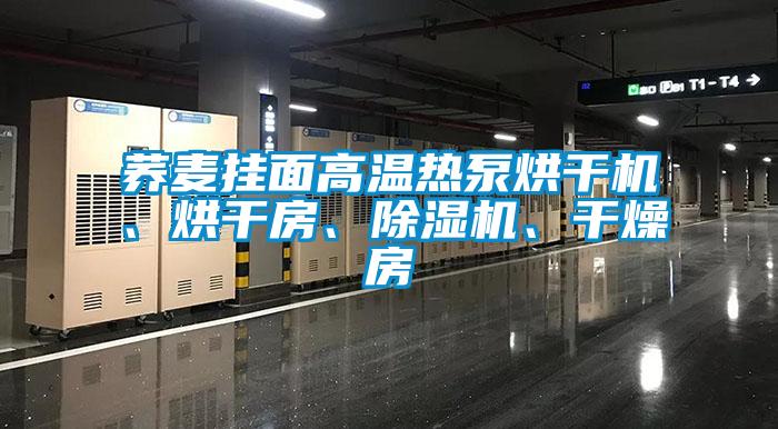蕎麥掛面高溫熱泵烘干機、烘干房、除濕機、干燥房
