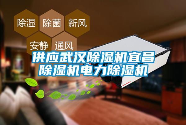 供應(yīng)武漢除濕機宜昌除濕機電力除濕機