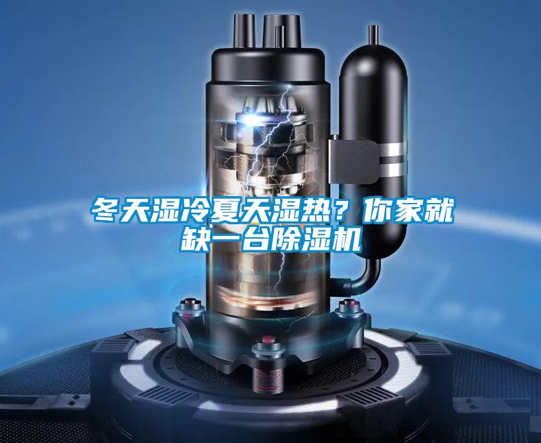 冬天濕冷夏天濕熱？你家就缺一臺除濕機