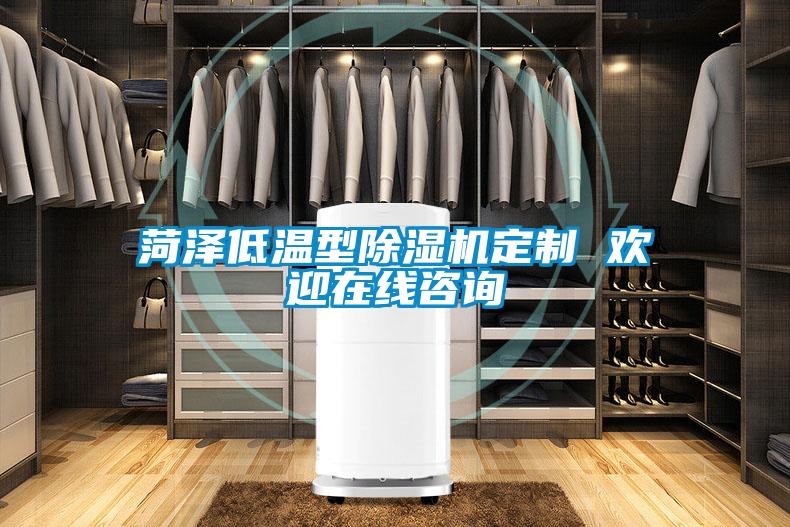 菏澤低溫型除濕機(jī)定制 歡迎在線(xiàn)咨詢(xún)